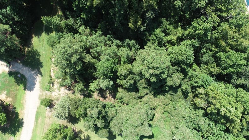 9220 Eisenhower Dr Lot 73, Apex, NC 27502