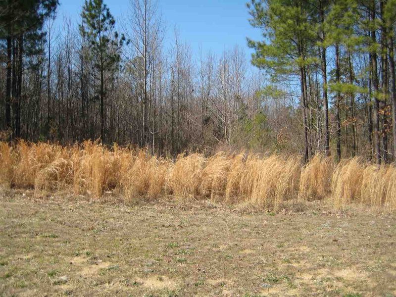 928 Cedar Creek Dr Lot 27, Wendell, NC 27591