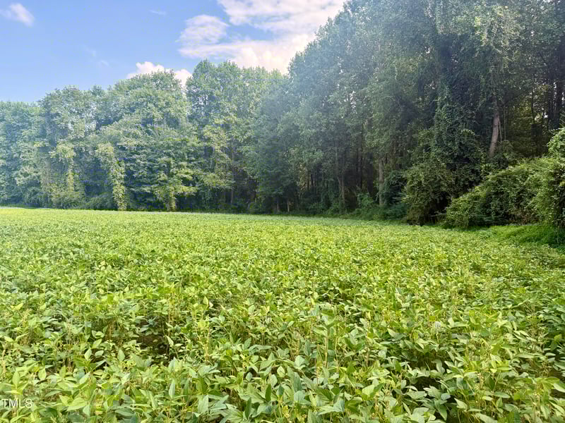 928 Wall St, Benson, NC 27504