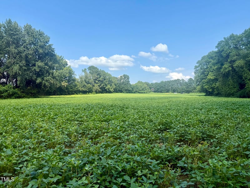 928 Wall St, Benson, NC 27504