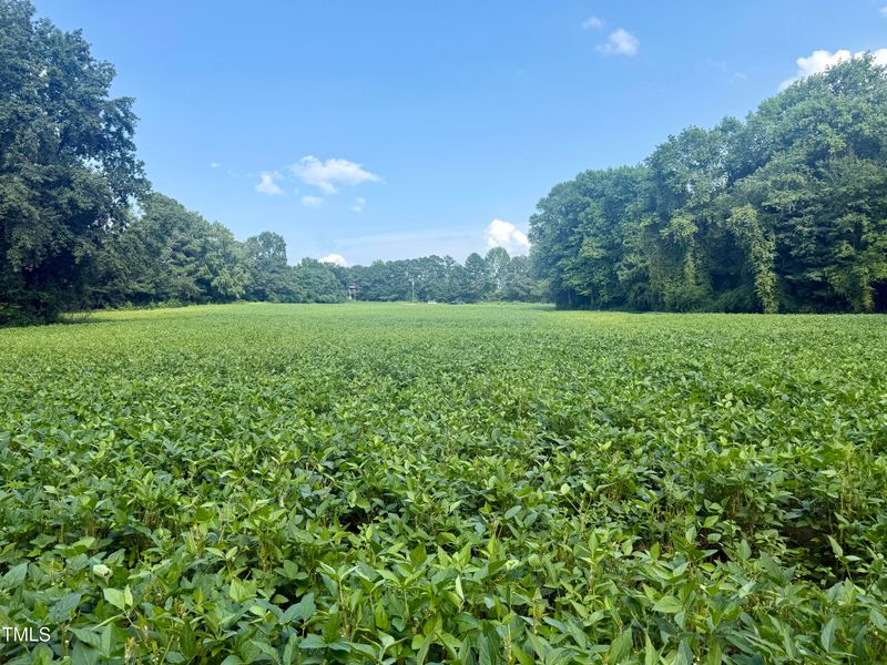 928 S Wall St Lot 3, Benson, NC 27504