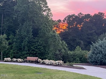 929 Del Webb Manor Ave, Wake Forest, NC 27587