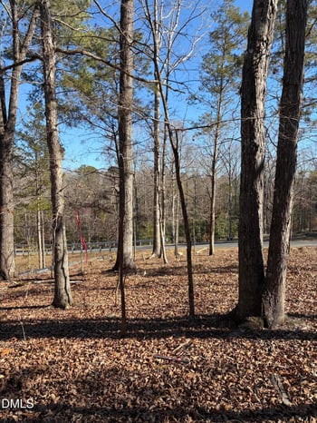 93 Firefly Overlook, Pittsboro, NC 27312