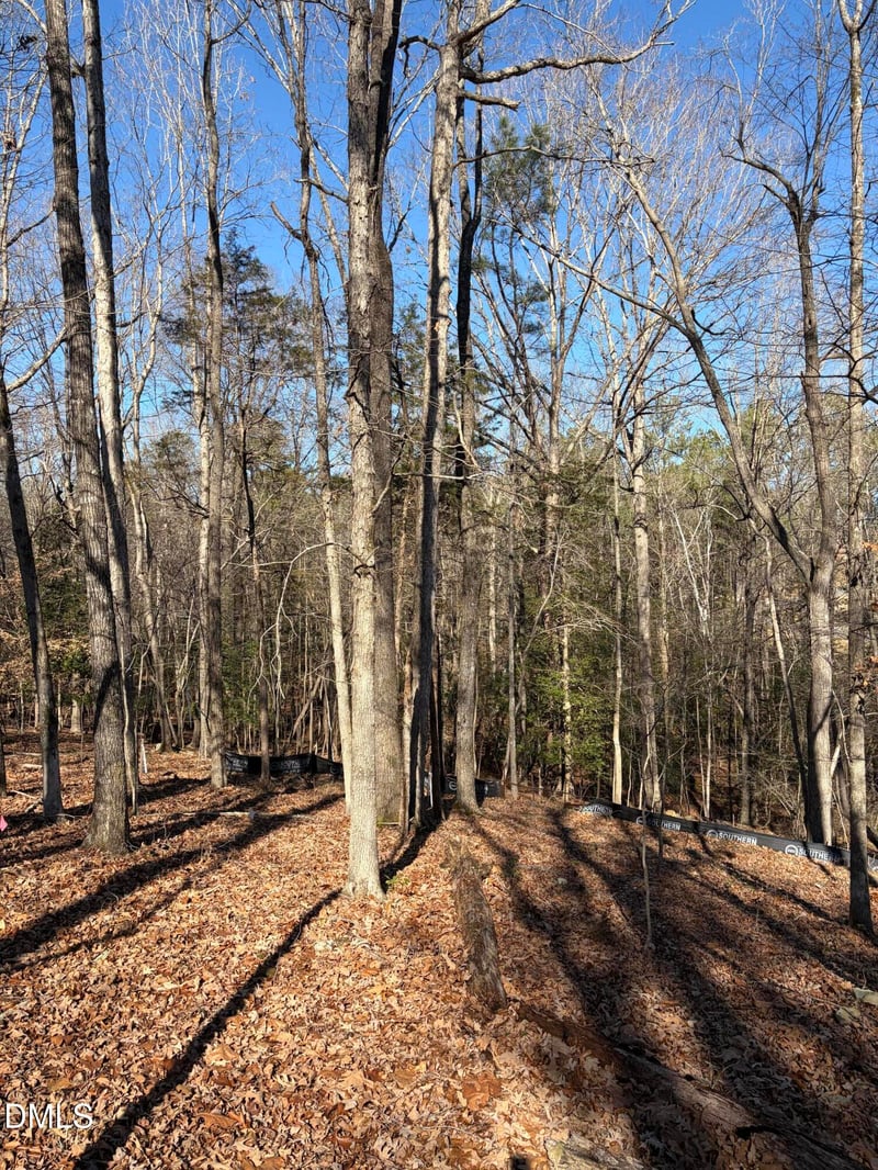 93 Firefly Overlook, Pittsboro, NC 27312