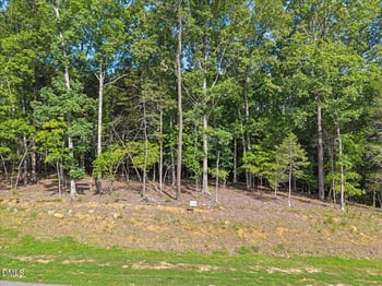93 Firefly Overlook Rd Lot 4, Pittsboro, NC 27312
