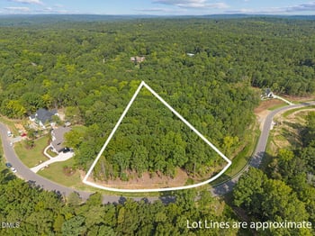 93 Firefly Overlook Rd Lot 4, Pittsboro, NC 27312