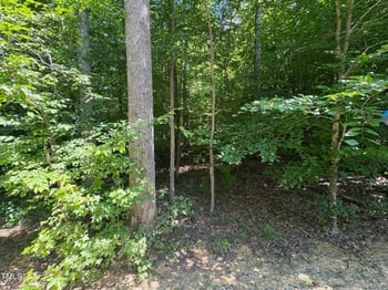 93 Kenwood Ln, Pittsboro, NC 27312
