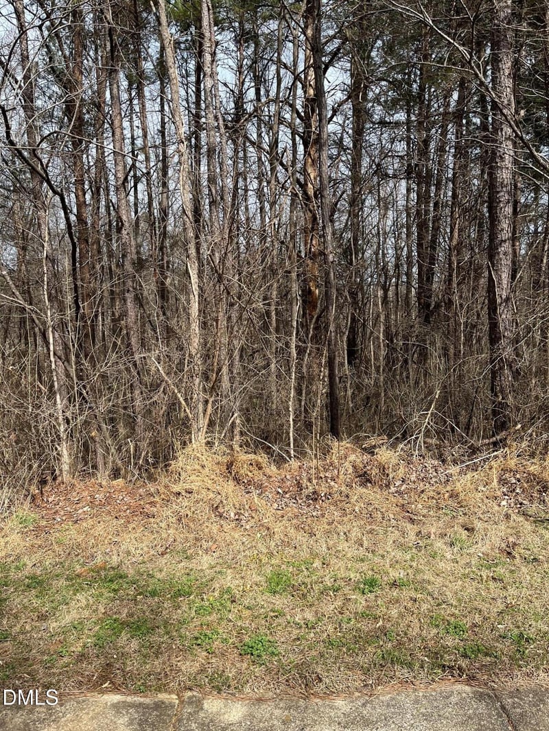 93 Lot Haynoke Dr Lot 93, Graham, NC 27253