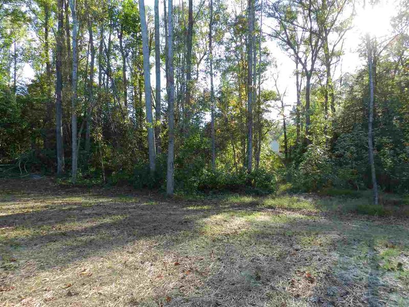 93 Tarpon Dr, Benson, NC 27504