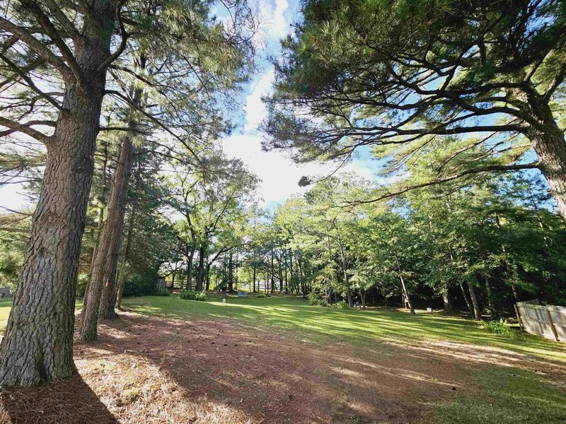 93 Willirene Way, Clayton, NC 27520