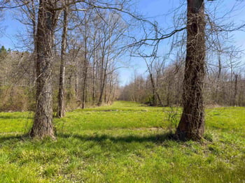 930 Lawson Farm Rd Lot none, Roxboro, NC 27574