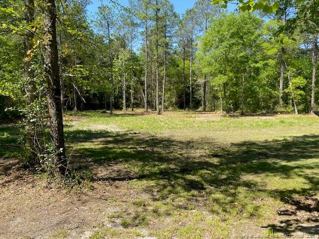 930 Old Vander Rd, Fayetteville, NC 28312