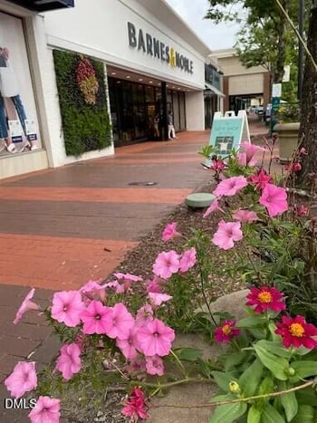 933 St Marys St, Raleigh, NC 27605