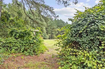 9340 Ferrell Rd Lot Tract 2, Zebulon, NC 27597
