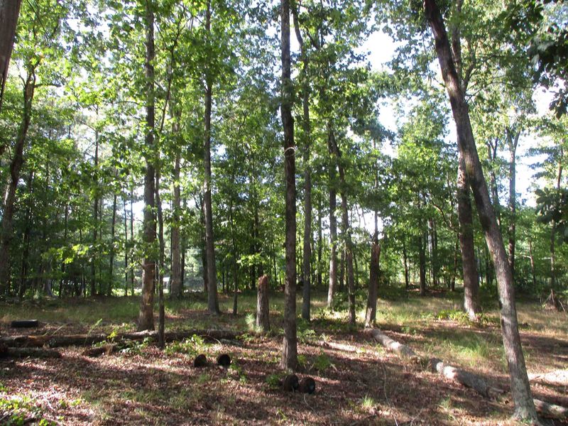 93A E Deer Rn Lot 15, Apex, NC 27502