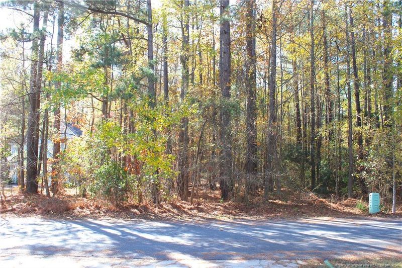94 Meadow Spring Ln, Sanford, NC 27332