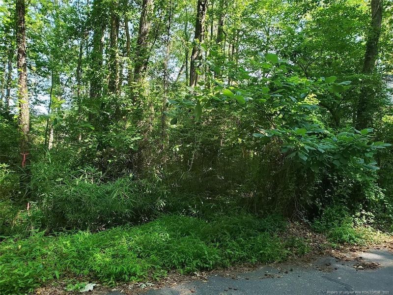 940 Lakewind Dr, Sanford, NC 27332