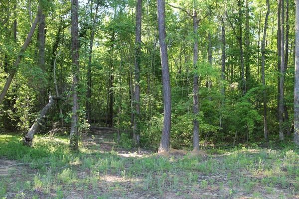 9420 Baker Rd, Zebulon, NC 27597