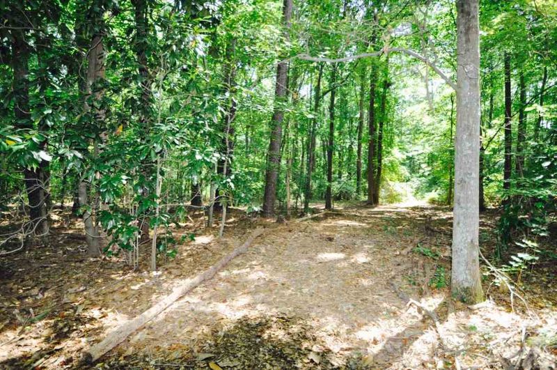 9425 Neils Branch Rd, Raleigh, NC 27603