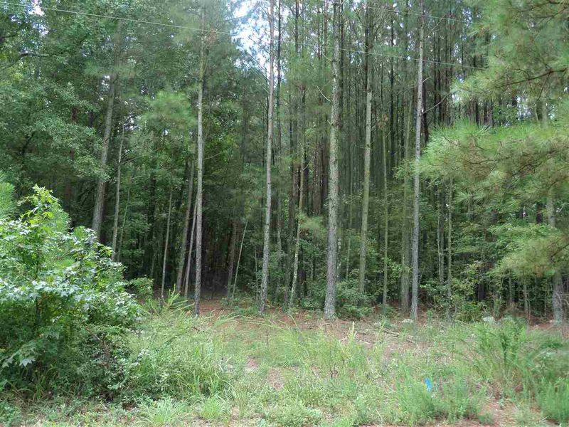 9436 Old Cascade Dr Lot 84, Garner, NC 27529