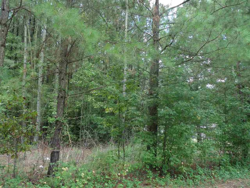 9436 Old Cascade Dr Lot 84, Garner, NC 27529