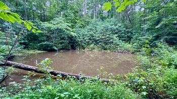 95 Birch Creek Farm Ln, Franklinton, NC 27525