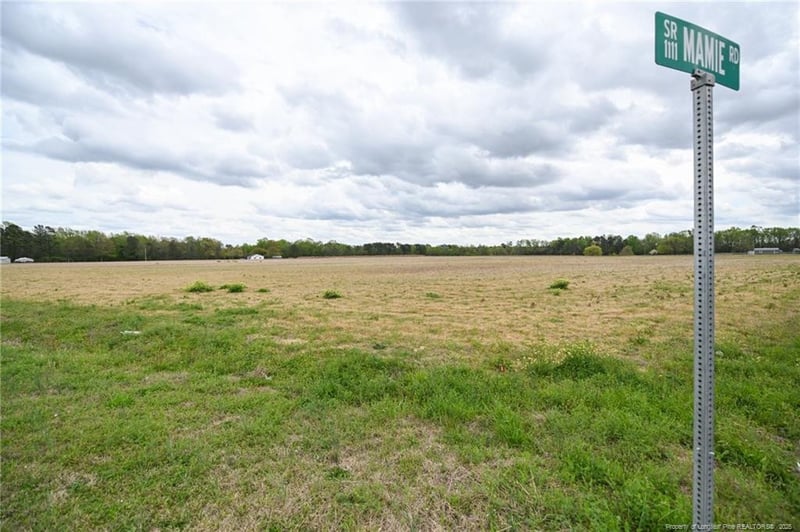 95 Mamie Rd, Benson, NC 27504