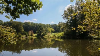 9508 Waterwood Ct, Raleigh, NC 27614