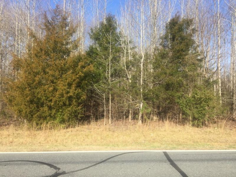 9511 Oakdale Dr, Liberty, NC 27298
