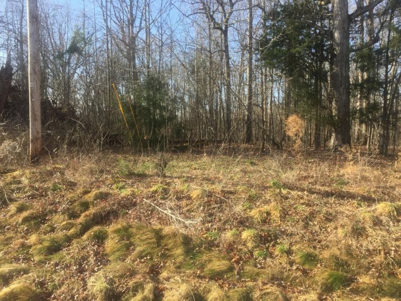 9511 Oakdale Dr, Liberty, NC 27298