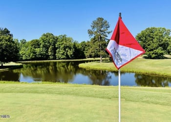 959 Sagamore Dr, Louisburg, NC 27549