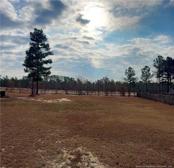 96 Downing Ct, Lillington, NC 27546