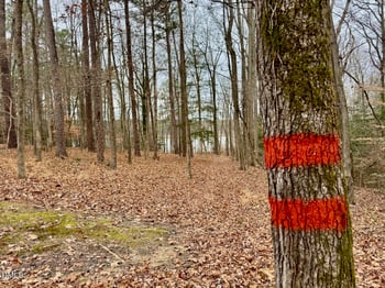 96 Holly Cir, Henderson, NC 27537