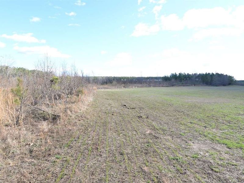 9621 Earpsboro Chamblee Rd Lot 1,2,3, Zebulon, NC 27597