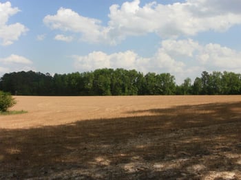 9648 Us 401 Hw Lot N/A, Fuquay Varina, NC 27526