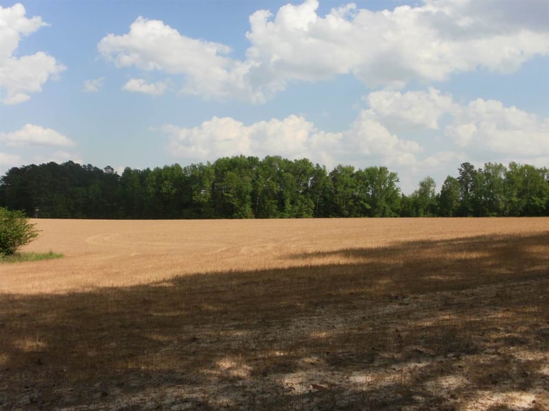 9648 N Us 401 Hw Lot N/A, Fuquay Varina, NC 27526