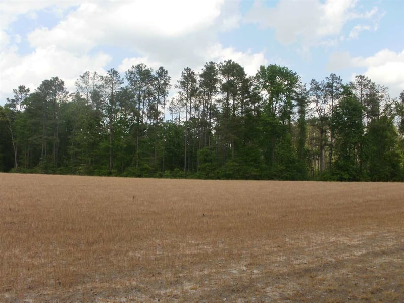 9648 N Us 401 Hw Lot N/A, Fuquay Varina, NC 27526