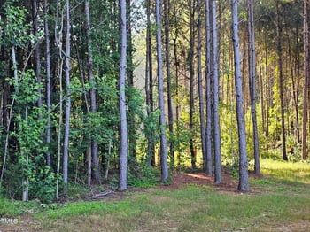 97 Fox Oak Trl, Pittsboro, NC 27312