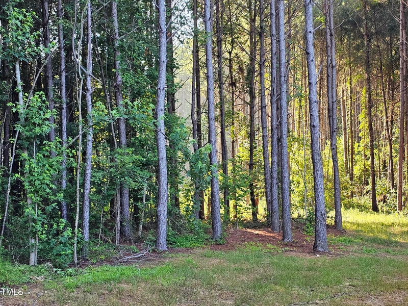 97 Fox Oak Trl, Pittsboro, NC 27312