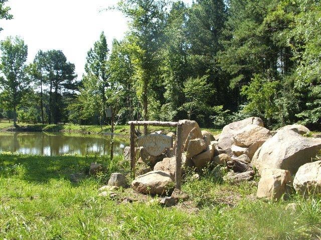 98 Harrison Pond Dr, Pittsboro, NC 27312