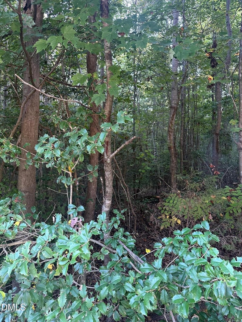0 98 Hw, Louisburg, NC 27549