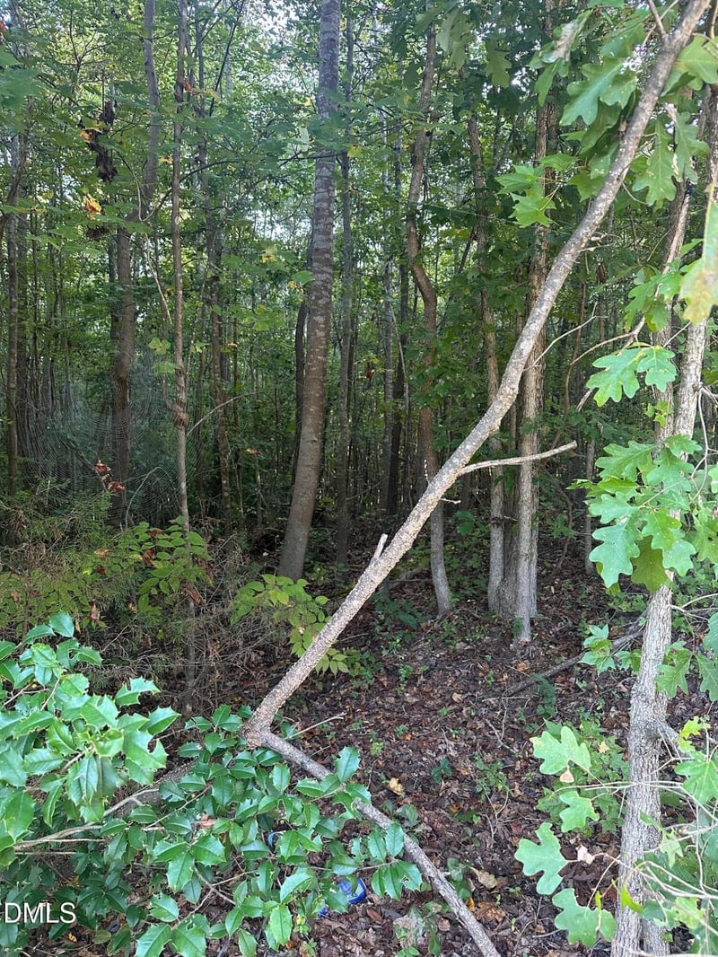 0 98 Hw, Louisburg, NC 27549