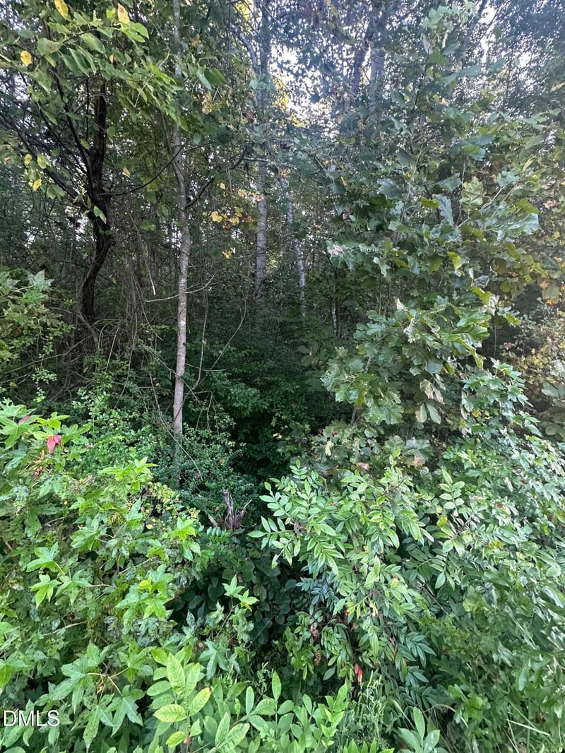 0 98 Hw, Louisburg, NC 27549