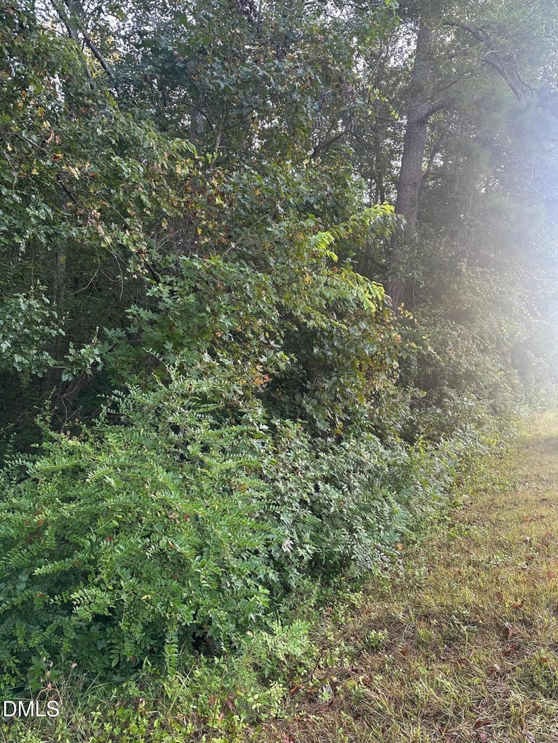 0 98 Hw, Louisburg, NC 27549