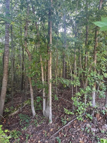 0 98 Hw, Louisburg, NC 27549
