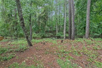 98 Pineridge Cv, Sanford, NC 27332