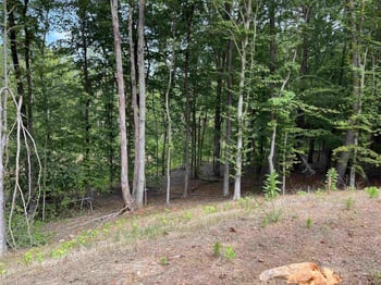 981 Browning Pl Lot 5, Youngsville, NC 27596