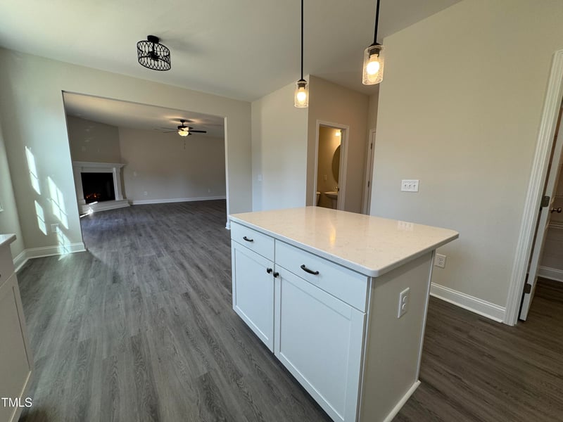99 Mapledale Ct, Benson, NC 27504