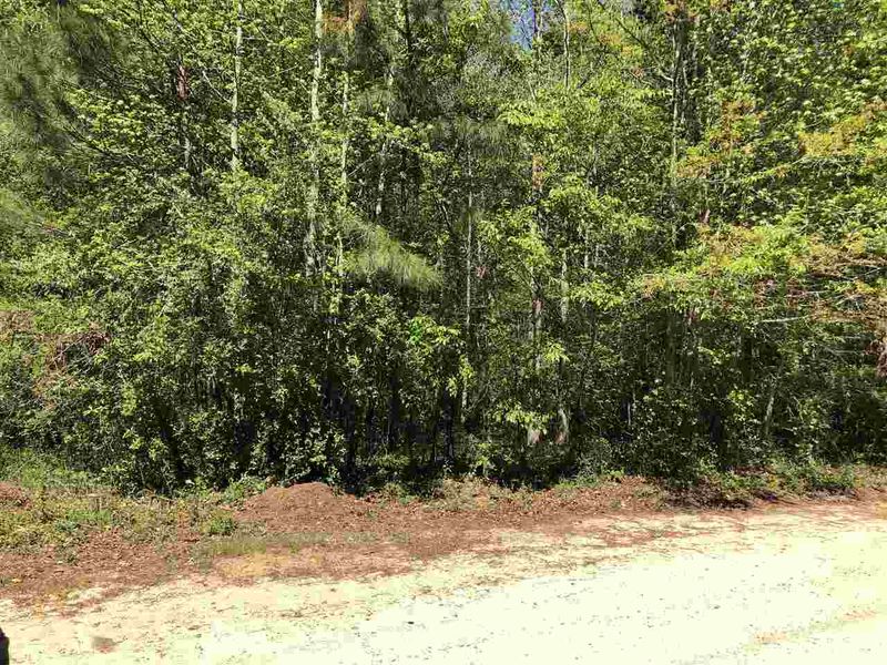 9900 Neils Branch Rd Lot 1, Raleigh, NC 27603
