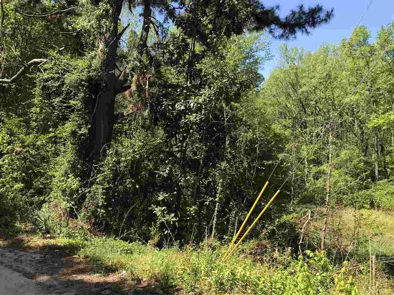 9900 Neils Branch Rd Lot 1, Raleigh, NC 27603